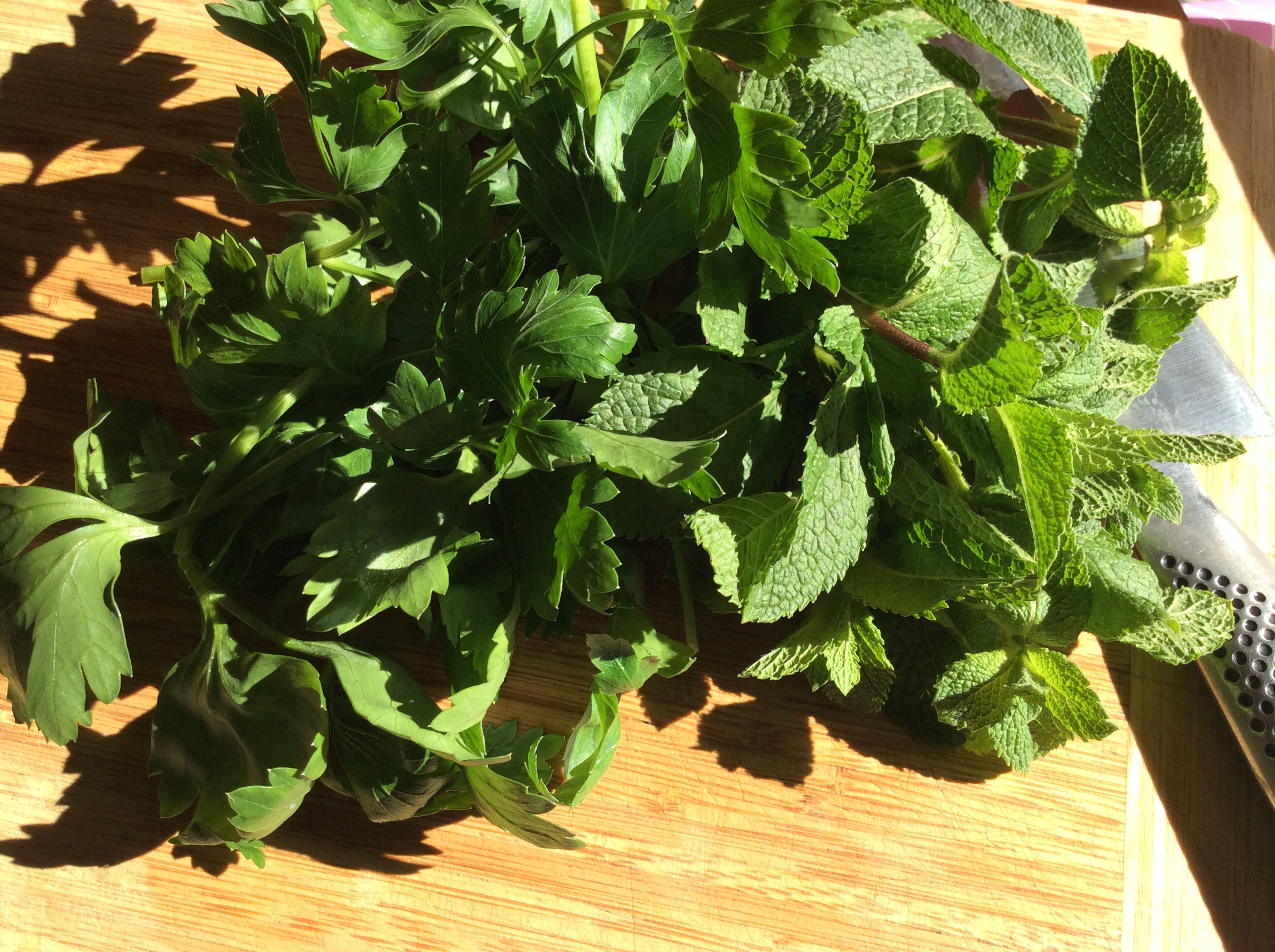 Fresh herbs : parsley and mint 